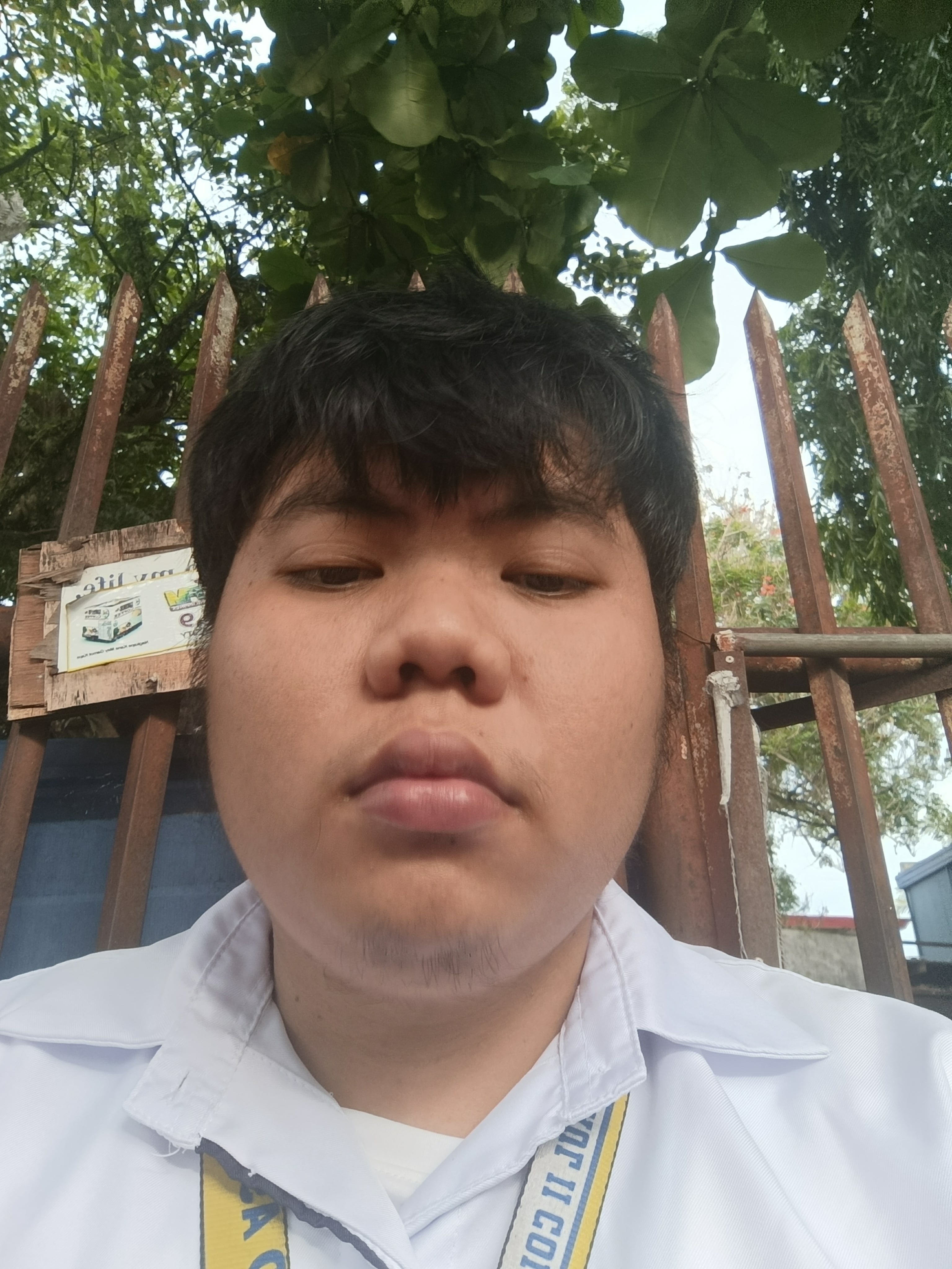 Adrian James Felizarta